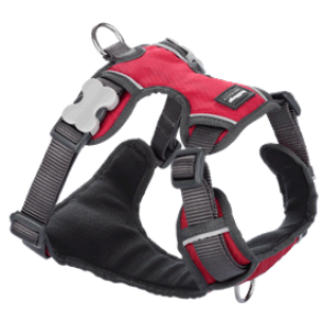 Red Dingo Padded Dog Harness-Red