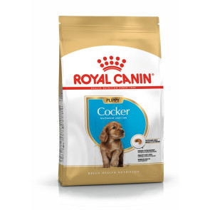 Royal Canin Cocker Spaniel Junior Puppy Food