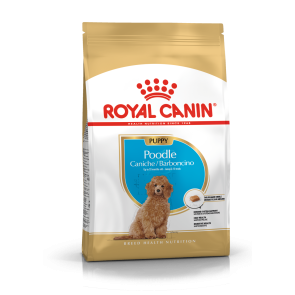Royal Canin Poodle Junior Puppy Food